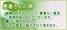 イーズカイロプラクティック 患者さんの声